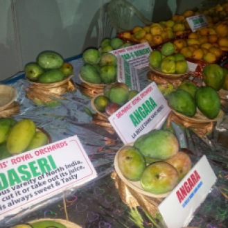 Assorted varieties of mangoes