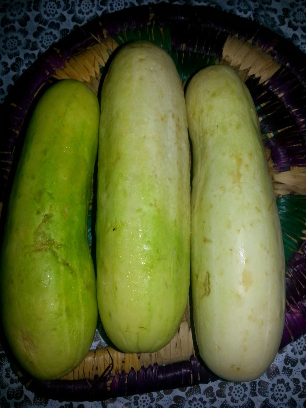 The pale green version of cucumber